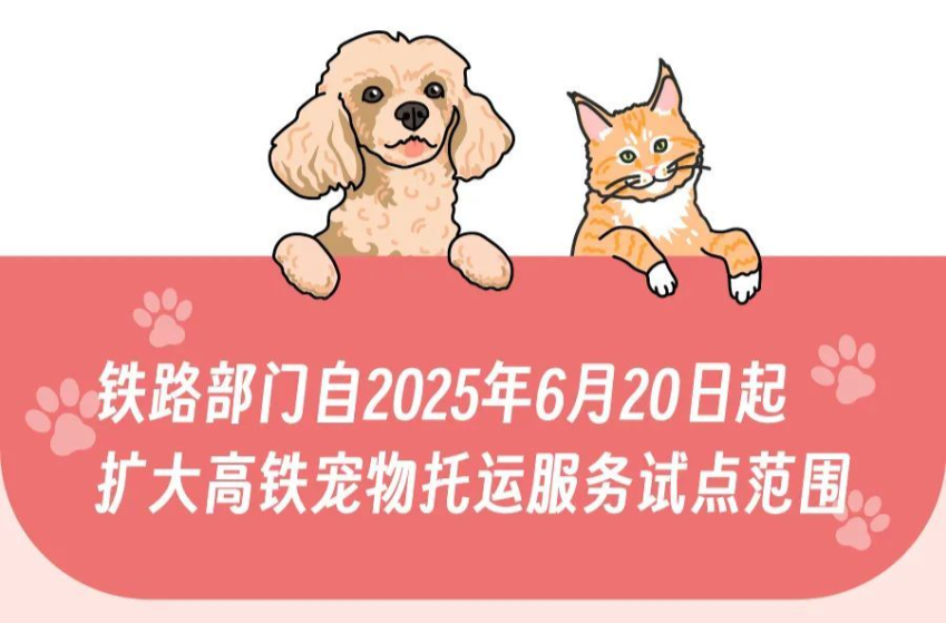线路由1条增至8条 高铁宠物托运服务试点范围今起扩大