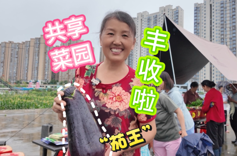 共享菜园喜丰收 邻里同乐惠民生