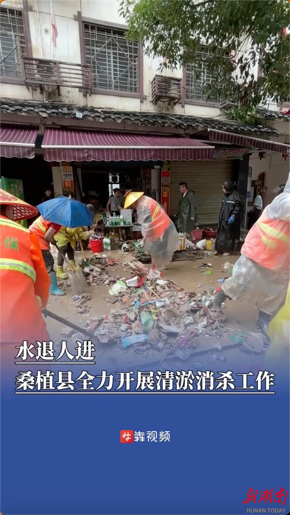 防汛火线｜水退人进！桑植县全力开展清淤消杀工作