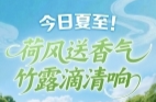 今日夏至！蝉蛙鸣，盛夏启，你准备好迎接夏天了吗？