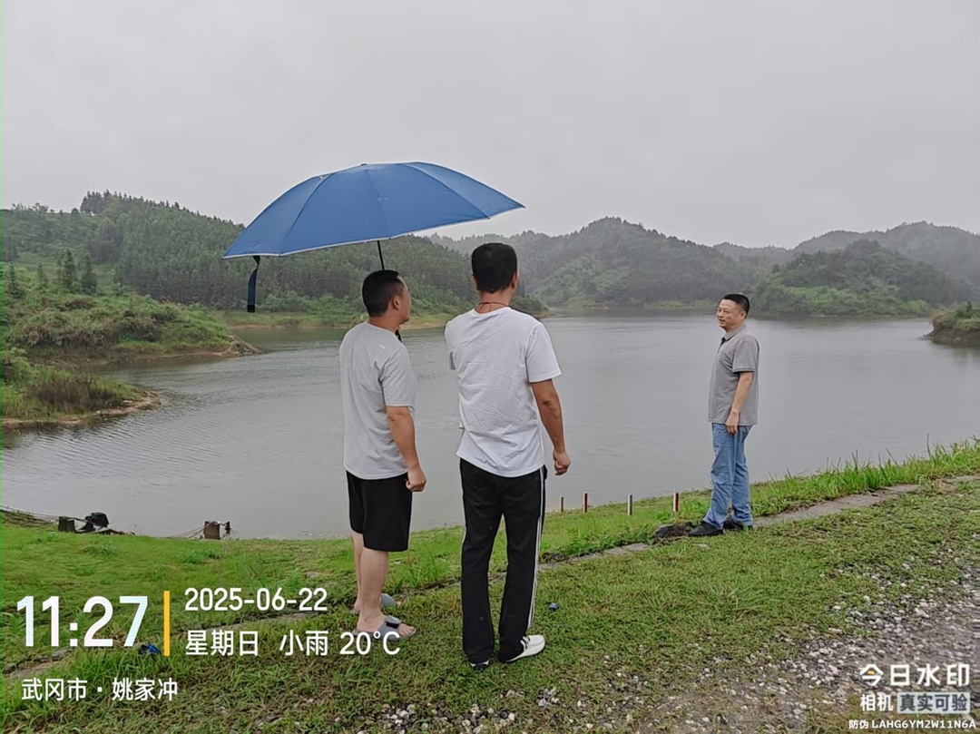 武冈市湾头桥镇：紧急行动，筑牢防汛 “安全堤”