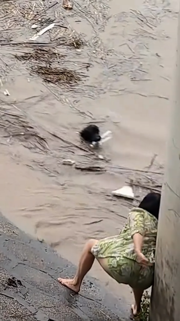 狗被洪水沖走，叼著塑料瓶，女子赤腳持棍出手相救