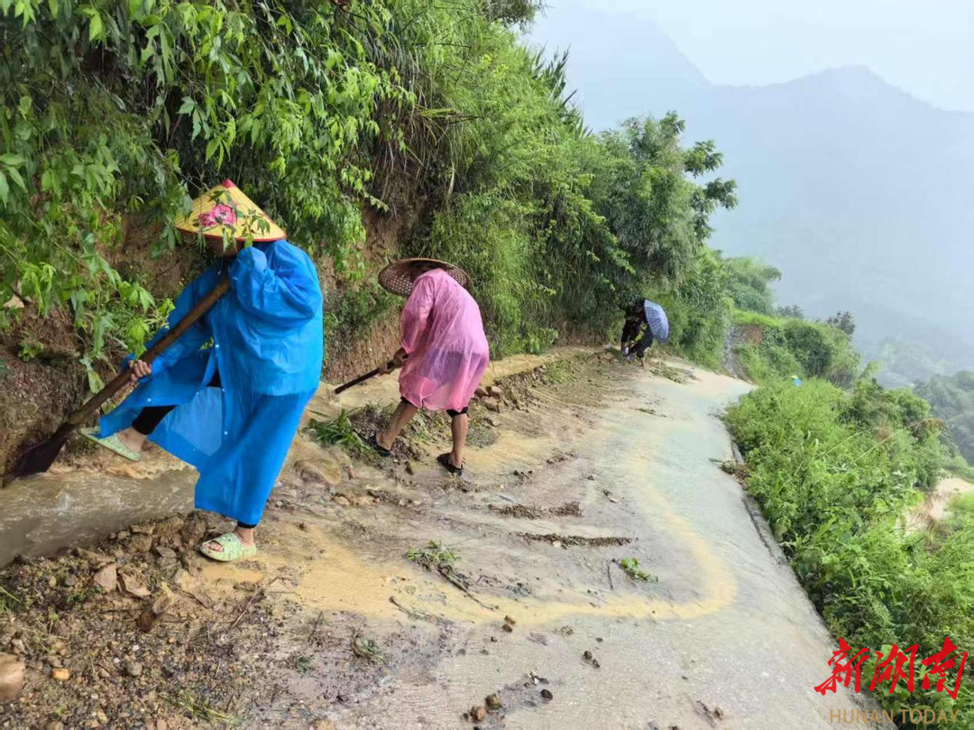 闻“汛”而动丨新桥镇：筑牢防汛“安全堤” 守护群众“生命线”