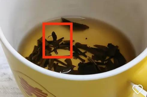 知名茶饮品牌，被曝喝出青蛙？当事人：监管部门已介入