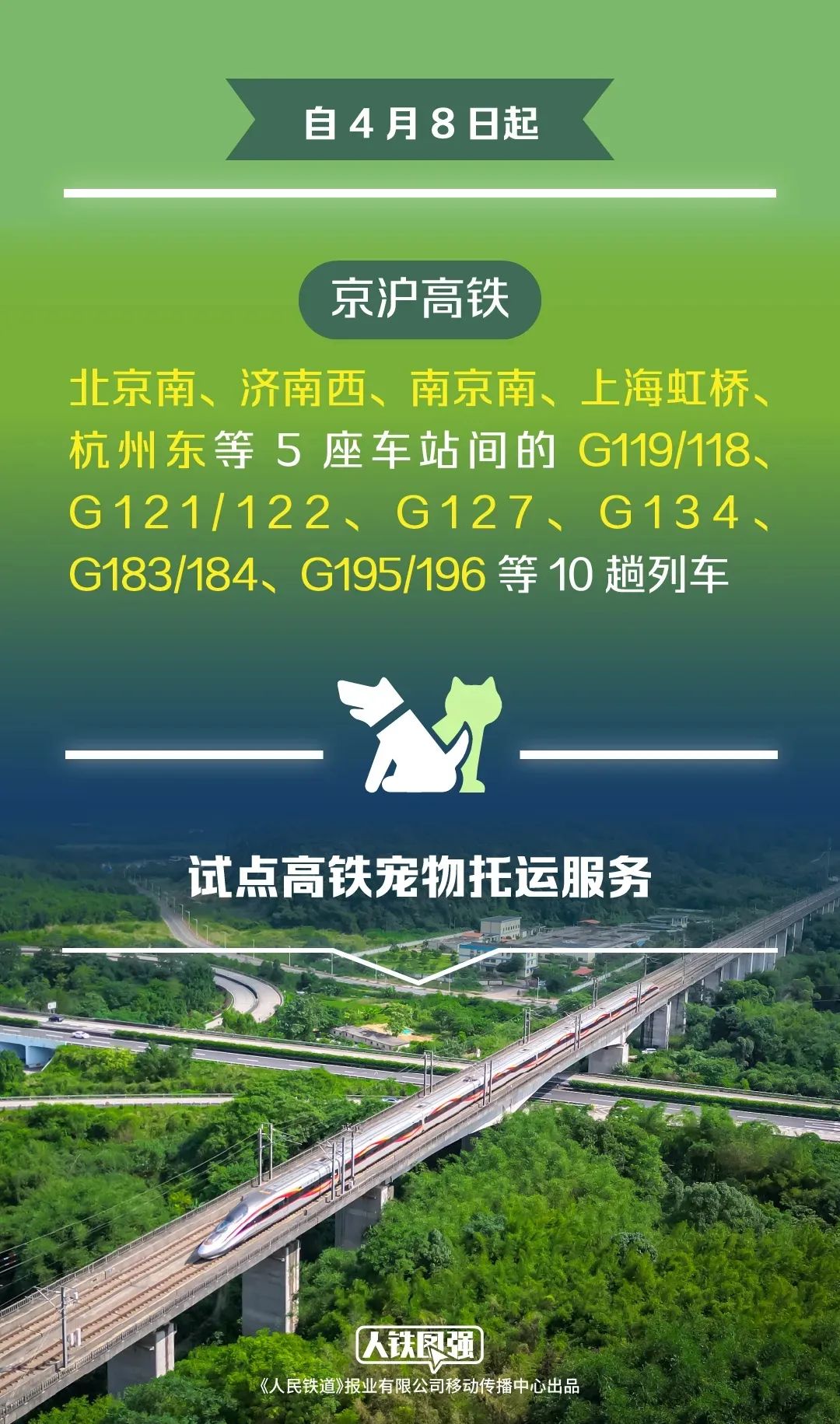 新增！这些高铁试点宠物托运服务→