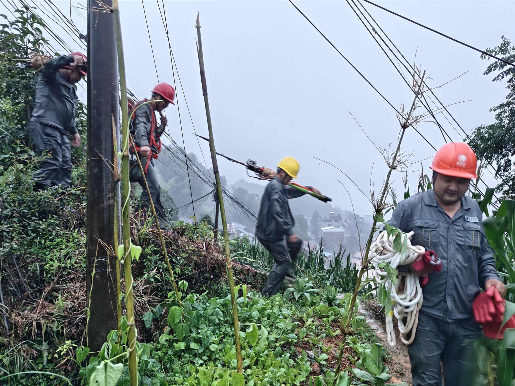 會(huì)同縣供電公司：冒雨急行 33分鐘搶通防汛電力生命線