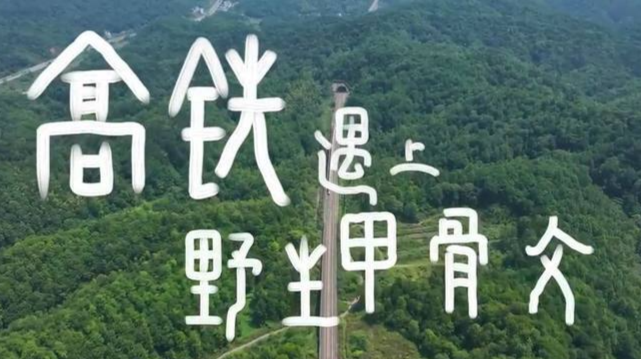 创意满满！用甲骨文打开中国高铁