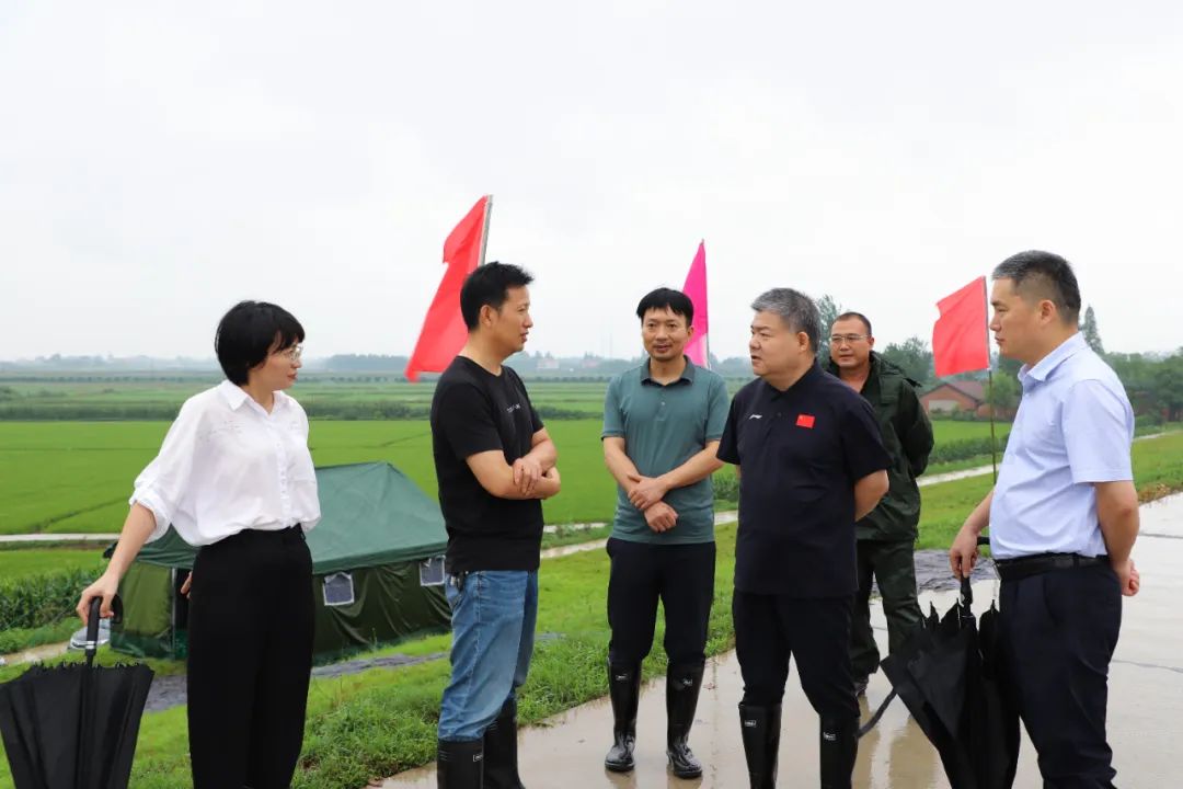 西湖管理区：胡晓明、熊毅带队督导检查防汛抗灾工作