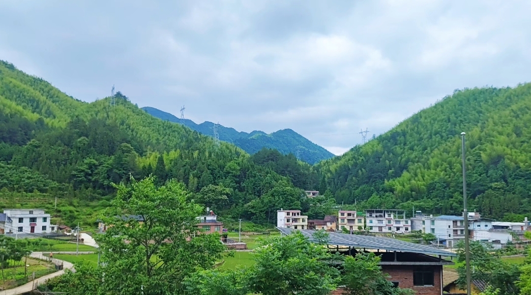 桂东：情系竹坑村 帮扶见实效