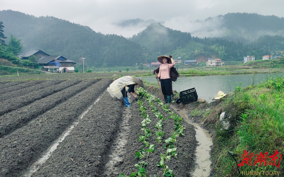 青山踏出振兴路——一群基层实践者的“城步答卷”