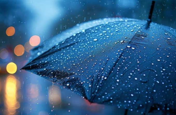 潮！潮！潮！梅雨季，网传“除湿小妙招”管用吗？