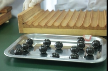 湖南化工职业技术学院：匠心炼中药技艺 妙手传千年文化