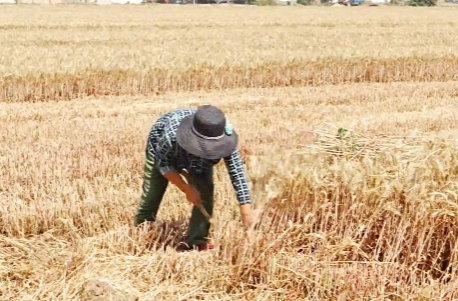 一习话｜“中国人要把饭碗端在自己手里”