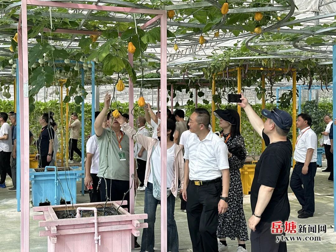 半年接待游客4万余人次！岳塘这个农场“出圈”啦