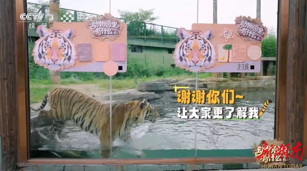 常德野生动物世界“登陆”央视 汉寿推动县域文旅产业提质升级