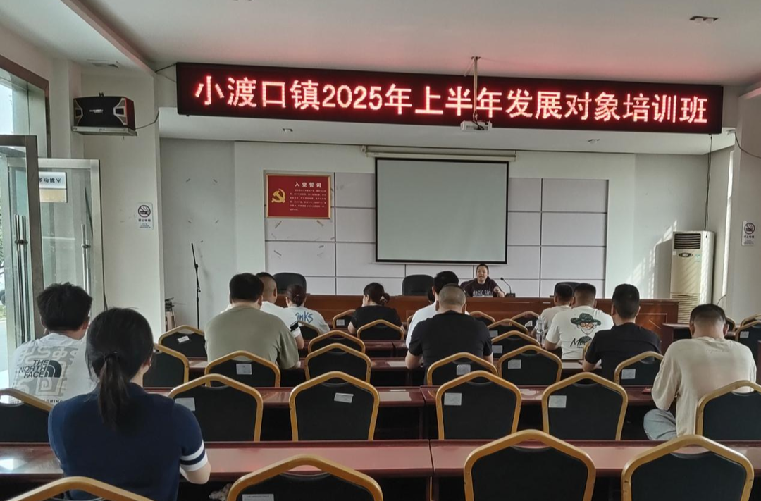 澧县小渡口镇扎实做好新发展党员培训工作