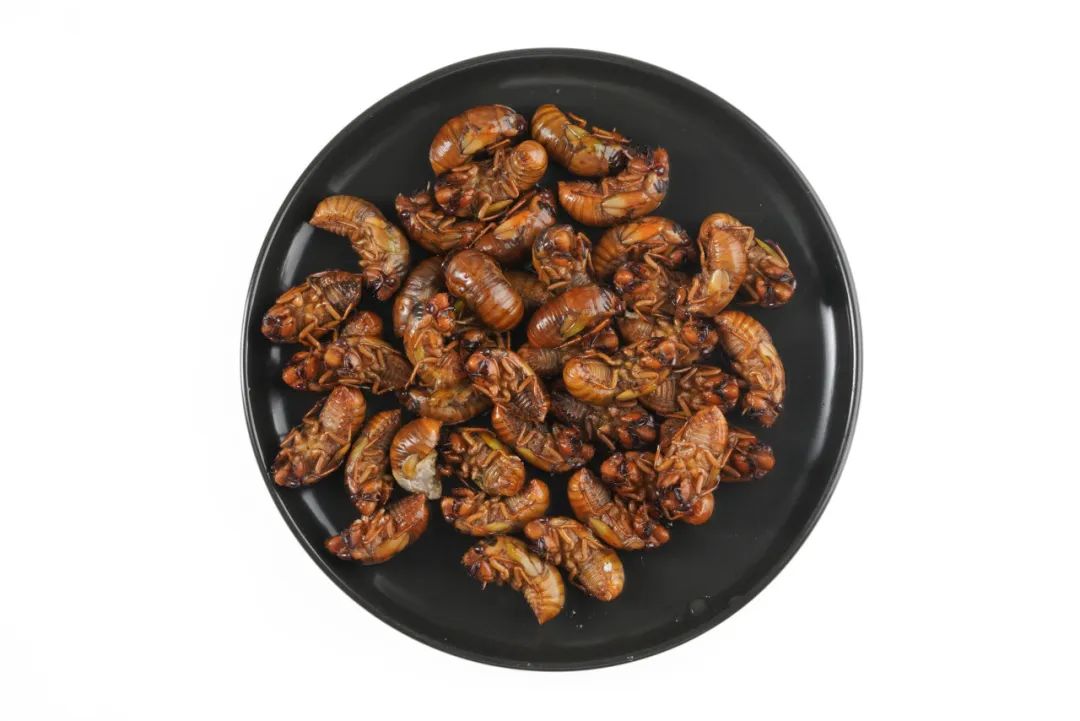 这些肉比鸡鸭鱼肉更有营养，但是很多人没吃过