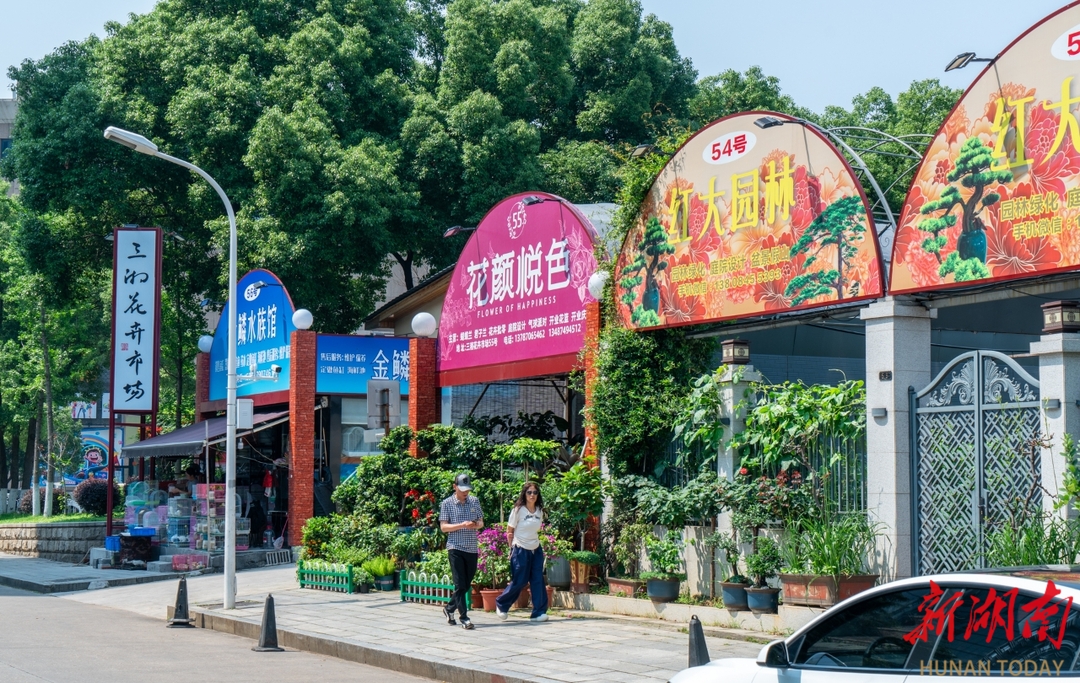 小村规大治理 | 昔日脏乱差 今日网红地 看长沙市东湖社区居民公约如何让老旧市场美丽蝶变