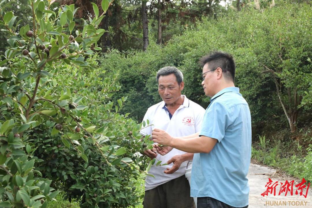 新田：父子巧织农业循环网 年入百万变“生态富翁”