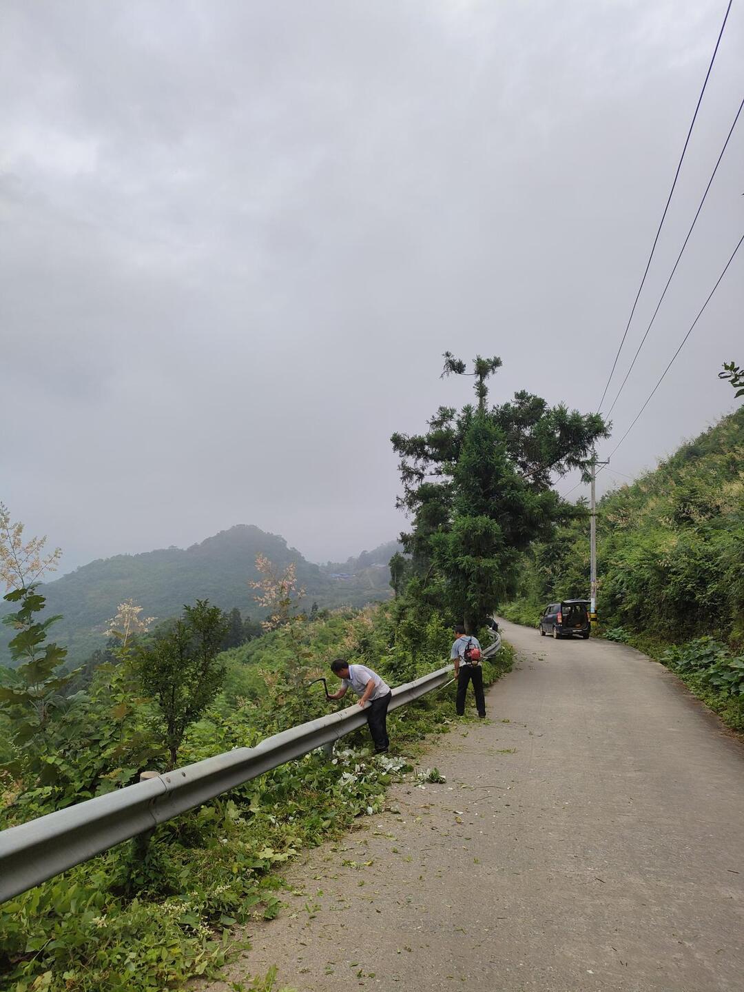 清障除杂，打造林场公路“畅安适舒美 ”新面貌