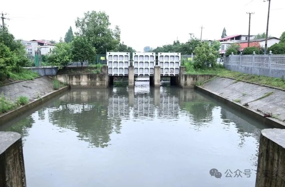 安乡城区全力抽排雨水 保障城区安全度汛