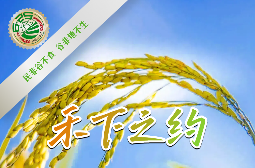 【全国土地日特别企划】海报｜禾下之约