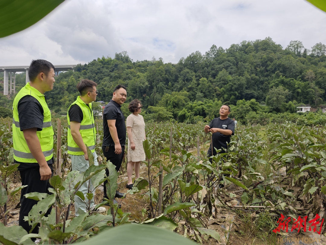 聞“汛”而動丨中華財險桑植支公司高效理賠102萬元助農(nóng)復(fù)產(chǎn)