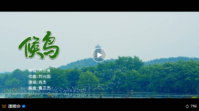 艺评｜何世华：翅膀谱写的生态长歌——评歌曲《候鸟》