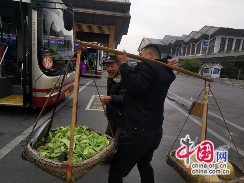 张家界公交十米车厢显“城市旅游窗口”精神高度