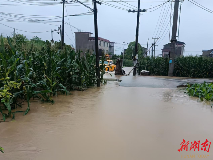党徽闪耀抗洪一线：记燃气队长张成的“舍”与“守”