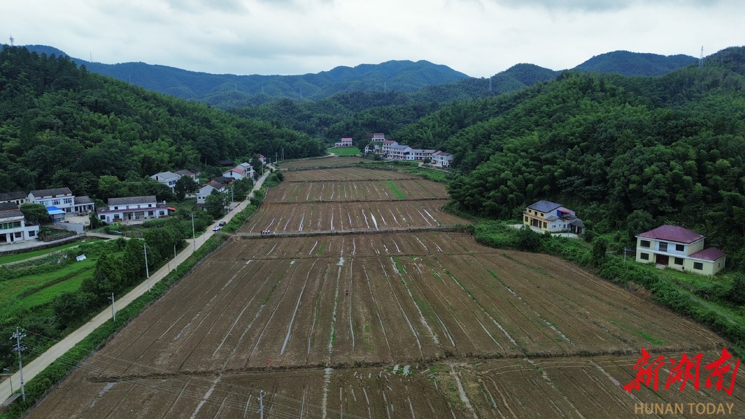桃江：严守耕地保护红线，近4年恢复耕地1.69万亩