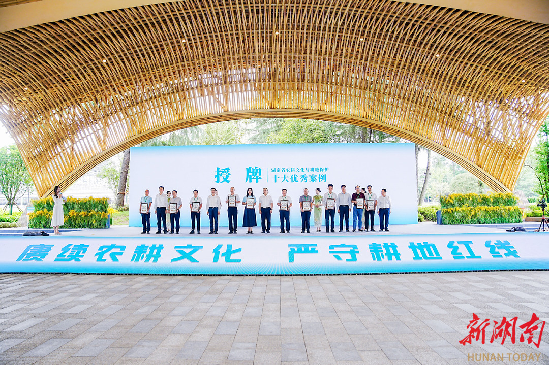 大泽湖近自然湿地公园：城市中央的耕读答卷