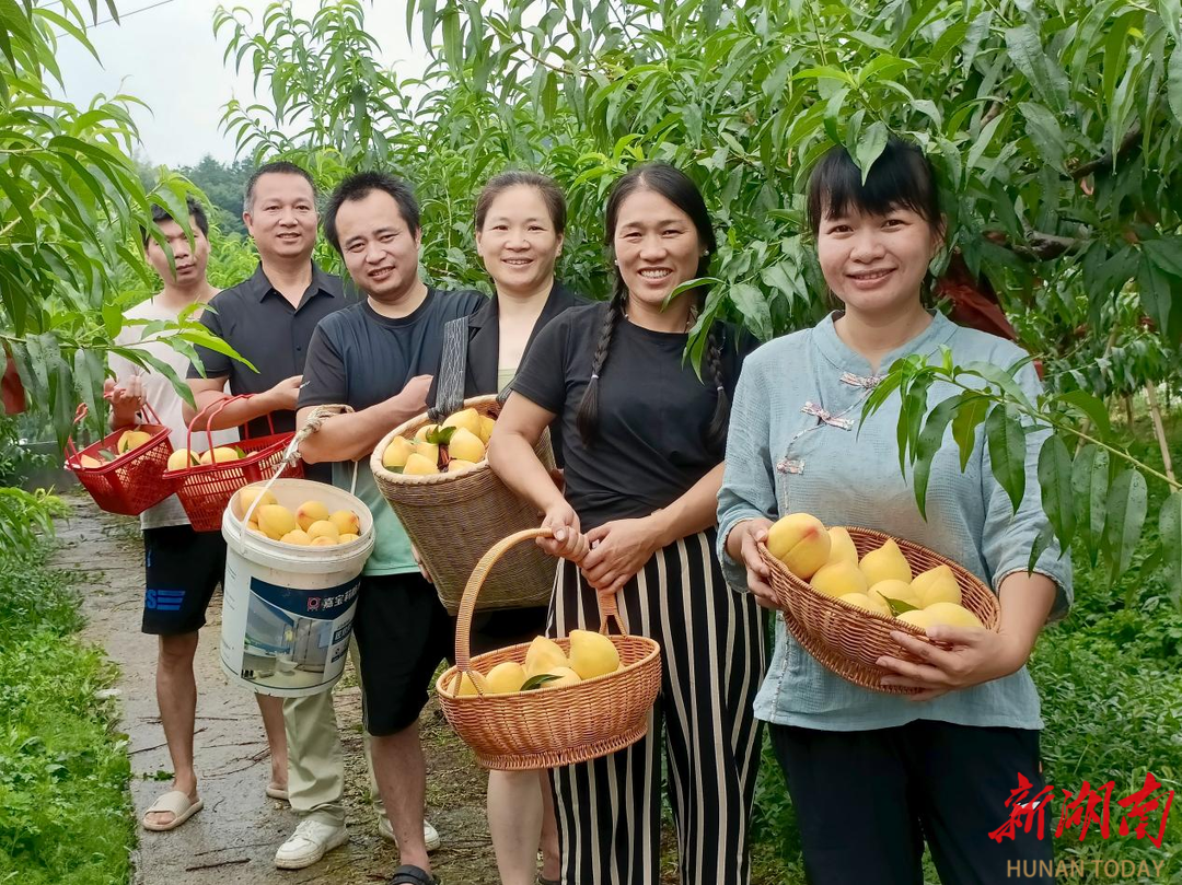 杏子铺镇：瓜果飘香季 丰收正当时