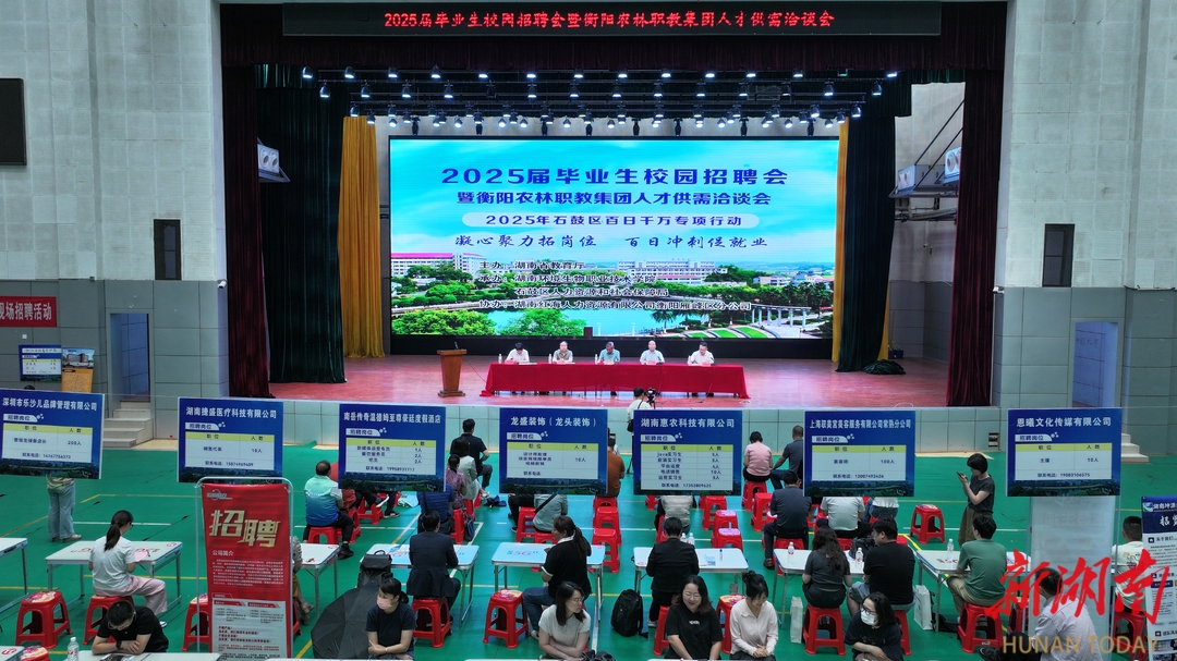 AI智能匹配岗位，​石鼓区这样为高校毕业生“职引未来”