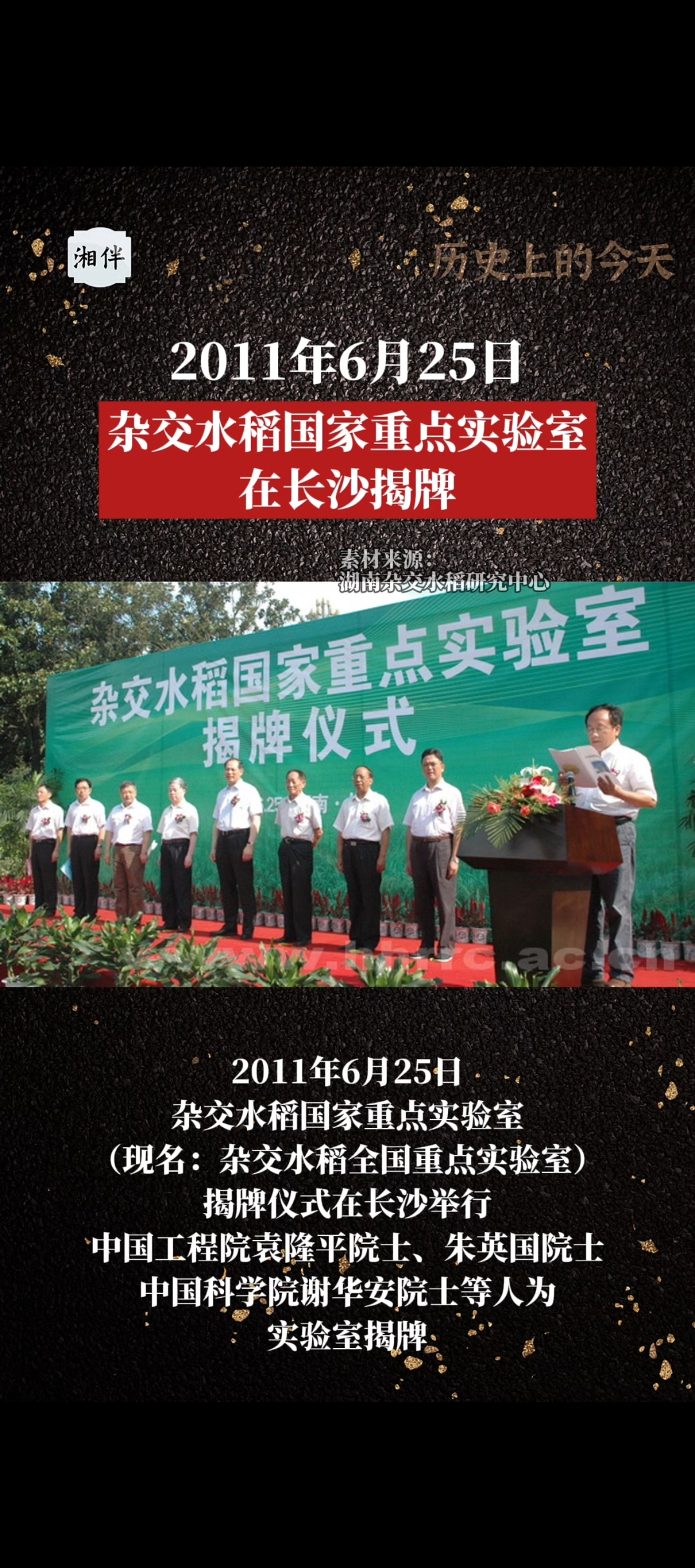 历史上的今天｜2011年6月25日，杂交水稻国家重点实验室在长沙揭牌
