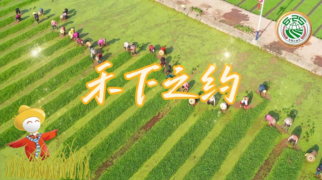 【全国土地日特别企划】｜禾下之约