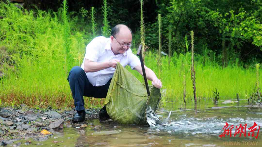 新田：因地制宜“精准放流” 构建“鸢飞鱼跃”景象