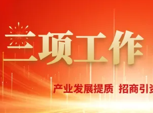 以问题导向强作风 以实干实效赢民心——八论实干担当扎实推进“三项工作”