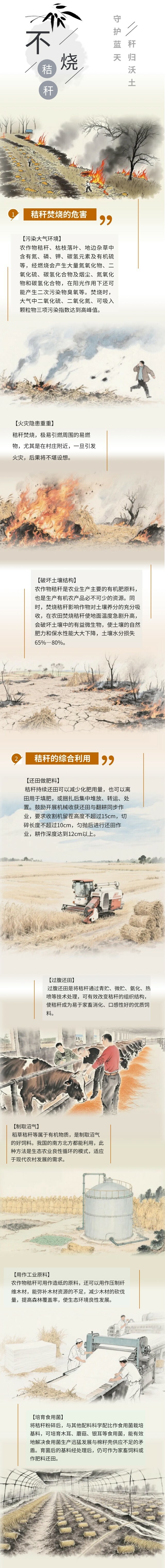 长图丨不烧秸秆——守护蓝天 杆归沃土