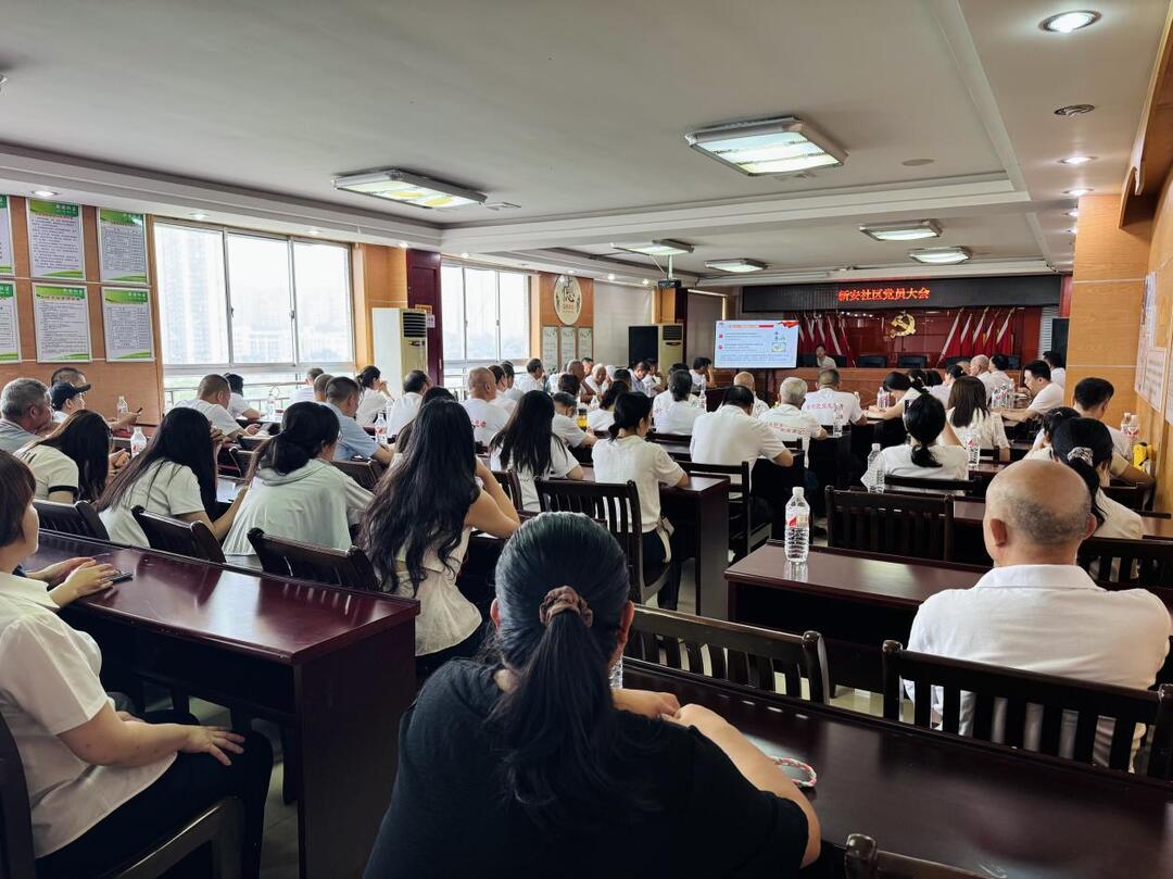 长沙新安社区：开展“学思践悟走在前  担当善为作示范”主题党日活动