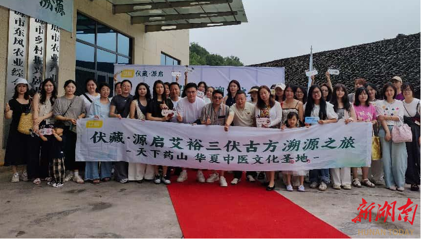 涟源：艾草生金润乡土 科技传承谱新篇