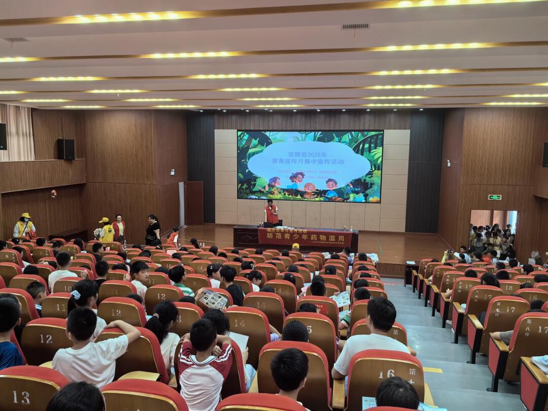 双牌县2025年禁毒宣传月集中活动在双牌三小举办