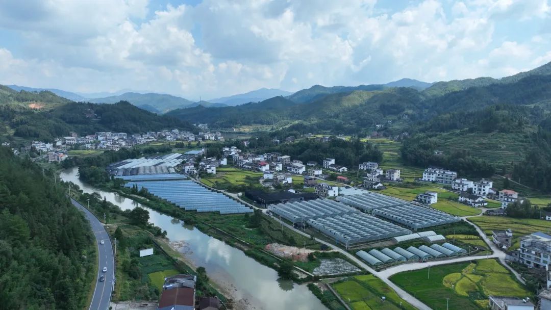 桂东村厨大赛撬动高山蔬菜市场