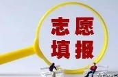 志愿填报今日开启！职业本科密集“上新”，该怎么选？