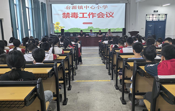 衡阳县台源镇中心小学：开展禁毒活动，共筑无毒校园