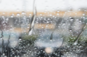 周末谨防雷雨“突袭”