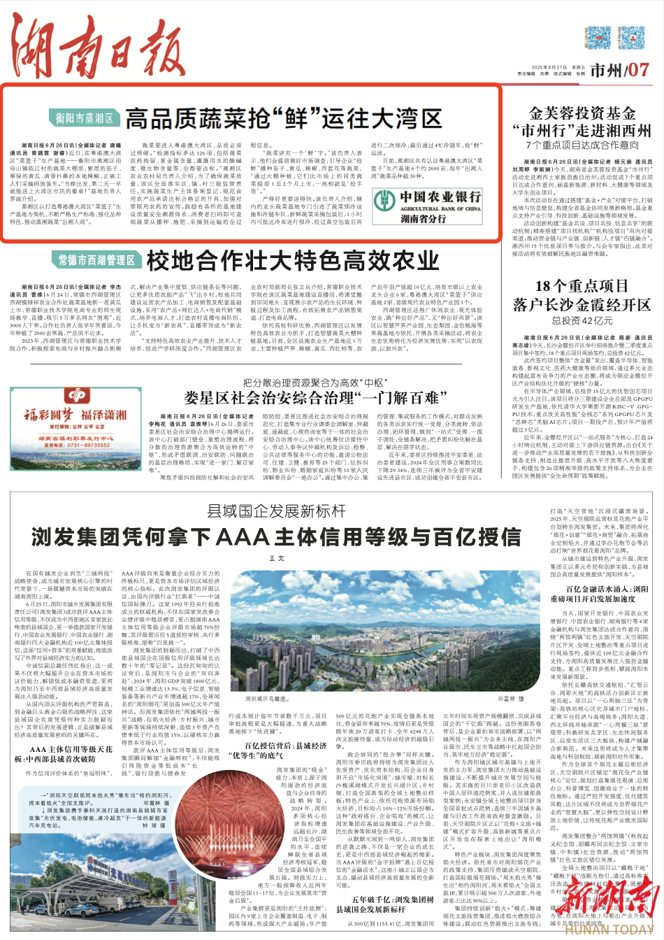 衡阳市蒸湘区 高品质蔬菜抢“鲜”运往大湾区｜湖南日报市州头条