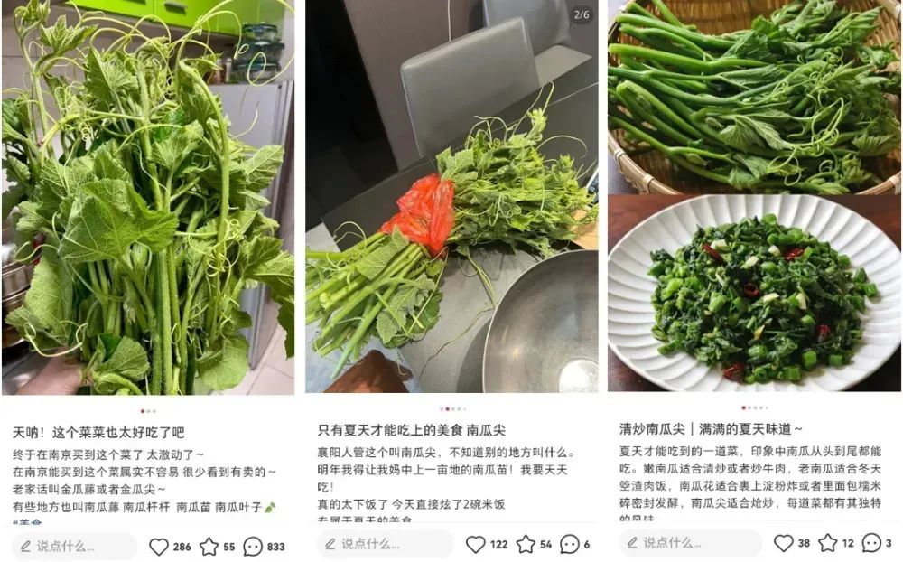 富含膳食纤维且热量超低！这种菜现在吃正好