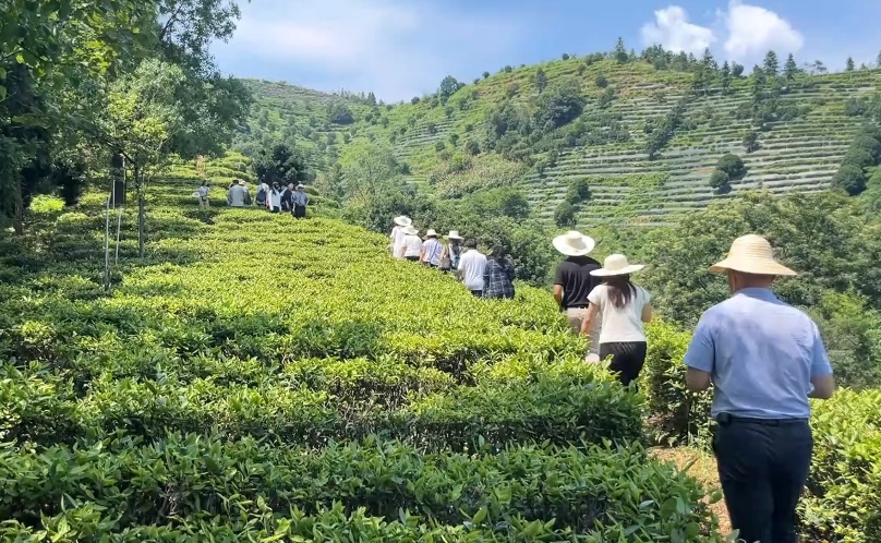 株洲市2025年“主播下鄉(xiāng)”活動(dòng)在醴陵啟動(dòng)