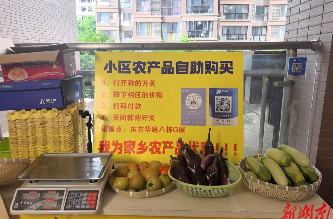 小小售賣攤，深深助農(nóng)情 | 湖南日報要聞頭條